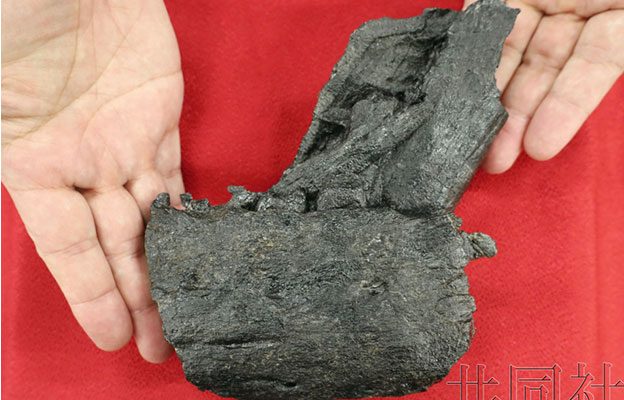 日本国内首次发现暴龙科恐龙颚骨化石