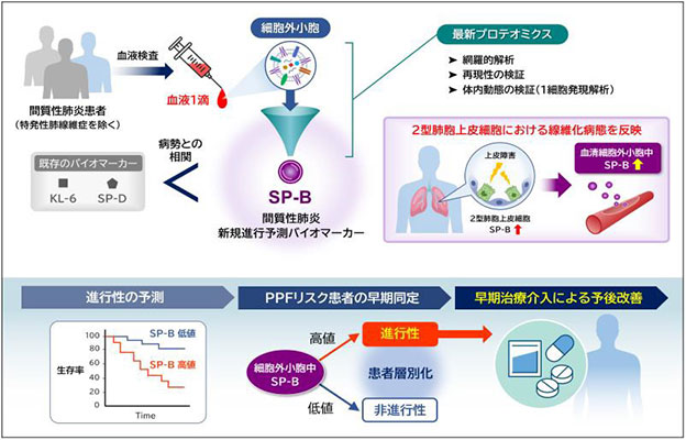 大阪大学最新成果：一滴血预测难病“间质性肺炎”的病况