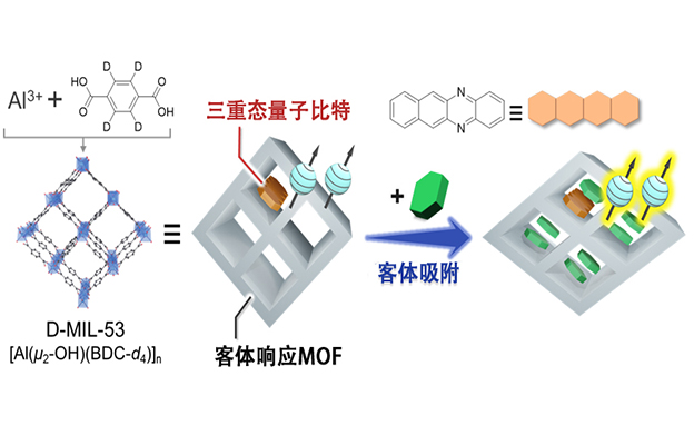 九州大学和东京大学等发现分子性量子比特的量子叠加态对化学物质产生响应，向实现化学量子传感迈出一大步