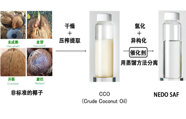 日本绿色电力开发：将不可食用椰子的椰子油制成航空燃料