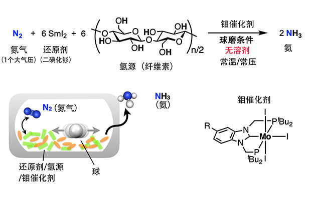 东京大学和京都大学全球首次成功实现不使用有机溶剂的氮气合成氨反应