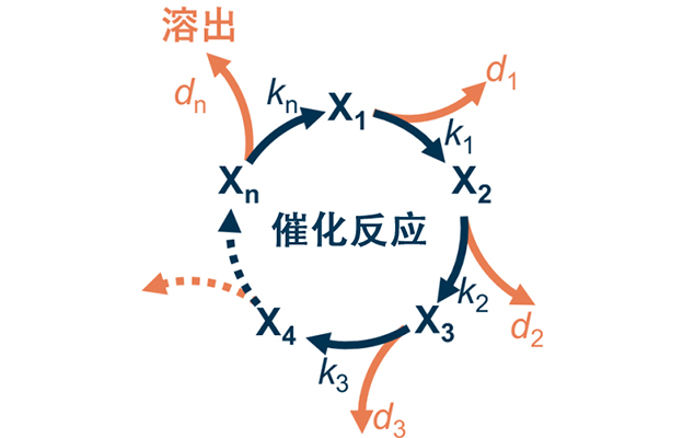 理研构建出预测电极催化剂寿命的数理模型，可用于开发高耐久替代材料