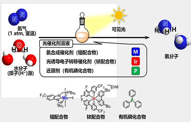东京大学成功在可见光照射与常温常压下合成“绿色氨”