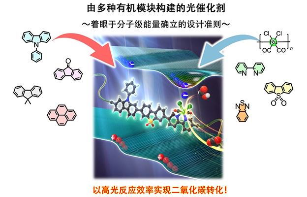 京都大学等成功验证有机高分子光催化剂高效转化CO₂的技术，实现不依赖贵金属的人工光合成系统