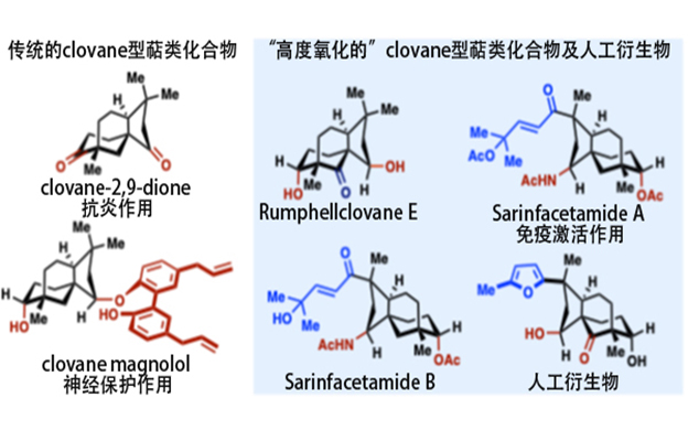 日本东北大学确立萜类天然产物衍生物的“自由”合成法，掌握药物研发的关键