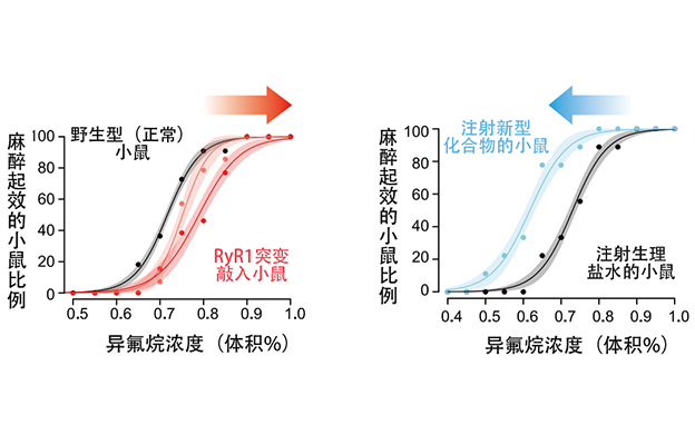 麻醉药吸入有效的细胞内靶点分子被锁定，有望推动开发更优质麻醉药及给药方法