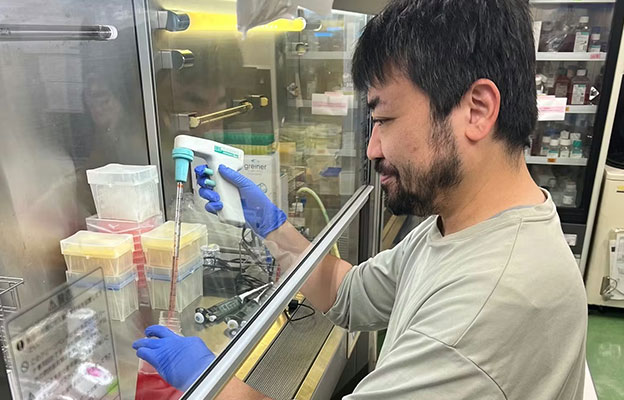 东京科学大学明确细胞废物清除的部分机制，与疾病发病相关