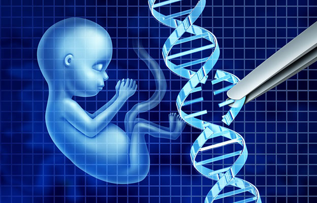 日本文部科学省等汇总报告书：建议立法管控“基因组编辑婴儿”，对受精胚胎的子宫移植制定罚则