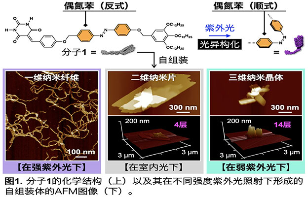 千叶大学等通过改变光的强度来自由控制纳米材料的形态