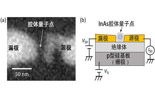 日本东北工业大学实现单胶质量子点自旋控制，有望应用于电子器件
