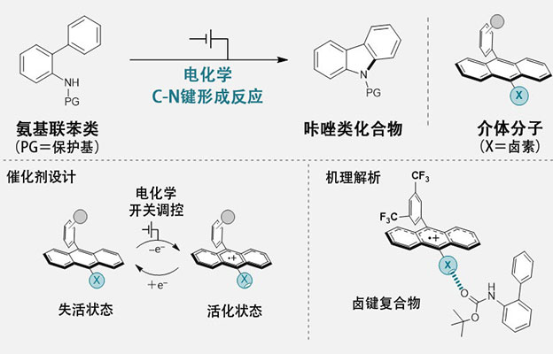 横滨国立大等研发出新型电化学开关型催化分子，实现质子与电子的协同迁移