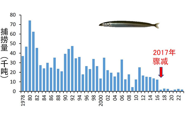 广岛大学解明玉筋鱼捕捞量为何在2017年骤减？