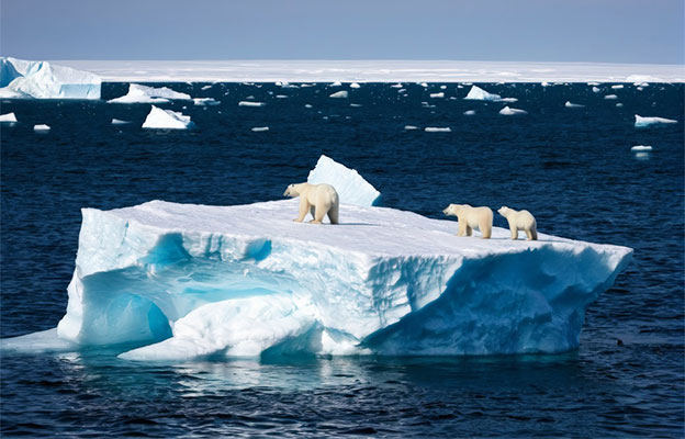 世界气象组织报告称全球经历最热三年