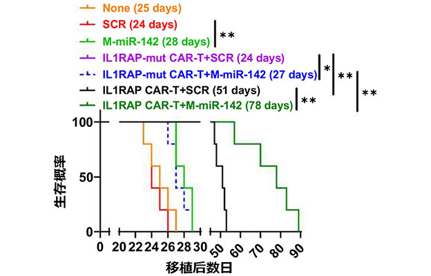 东海大学提出白血病CAR-T治疗新策略，联合microRNA同时增强治疗效果与持久性