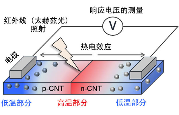 京都工艺纤维大学等开发出基于半导体碳纳米管的无需冷却高灵敏度红外传感器，实现内部结构的非破坏性观察