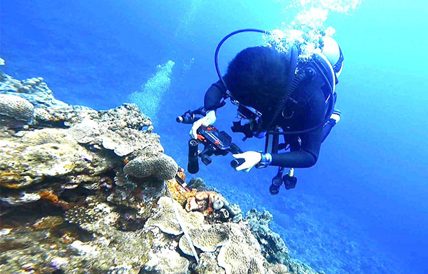 琉球大学等开发出珊瑚礁生态系统评价新方法，确认多种小型底栖生物栖息