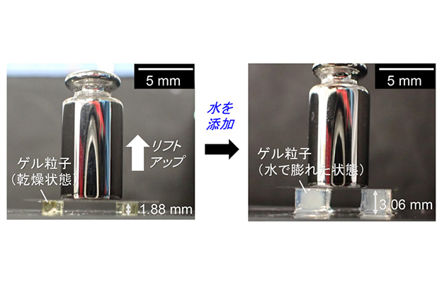 大阪工业大学开发出遇水膨胀能“举重”的立方体高分子凝胶粒子