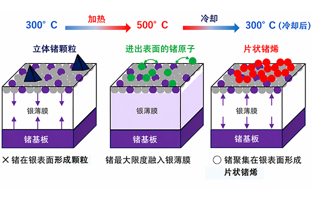 JAEA等阐明量子比特候选材料“锗烯”的形成机制——加热或冷却条件决定产物为颗粒或片状