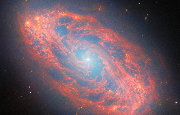 詹姆斯·韦伯望远镜捕捉到星体“轮回转生”实景——恒星与气体的相互作用