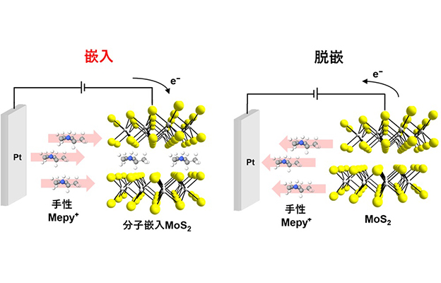 东京科学大学成功实现层状半导体电化学写入，证实手性介导的自旋极化可逆切换