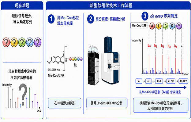 九州大学创立可测定肽序列的新型肽组学技术