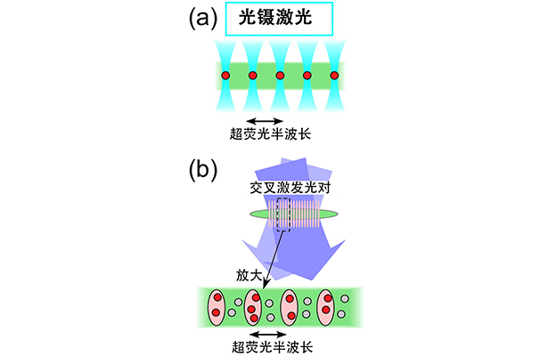 茨城大学与青山学院大学开发出无需谐振器即可调控光传播模式的新方法，向探明超荧光量子性大幅迈进