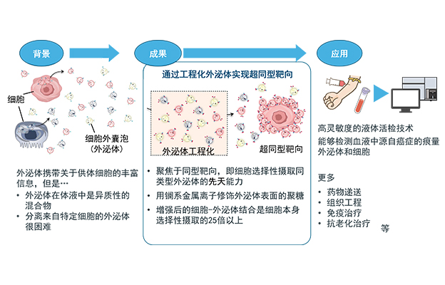 东京大学开发特定外泌体分选技术，有望用于癌症检测、药物递送及抗衰老治疗
