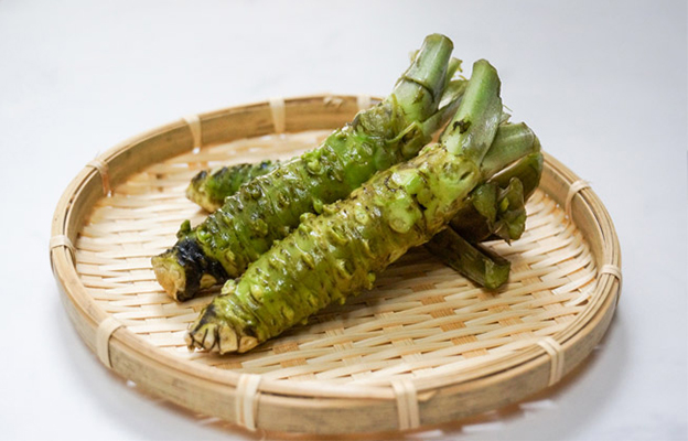 东京齿科大学利用山葵成分促进牙本质再生，治疗冷食引发的牙齿敏感疼痛