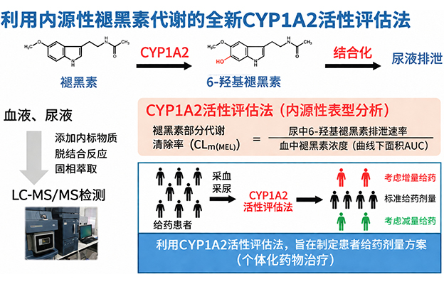 东京药科大学以褪黑素代谢为指标评估药物代谢酶活性，无需测试药物