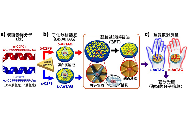 北海道大学开发新型分析基底，可从微量样品中高灵敏获取蛋白质立体结构信息