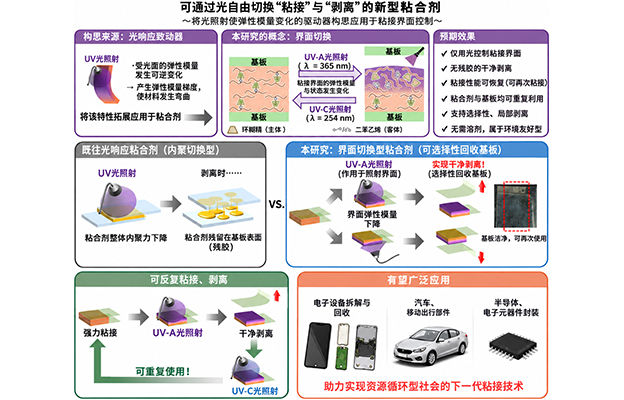 大阪大学开发出光照即可轻松剥离的粘合剂，仅对选定区域改变力学特性