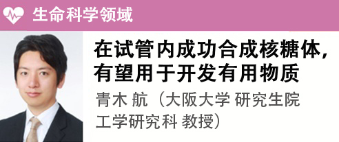 青木 航