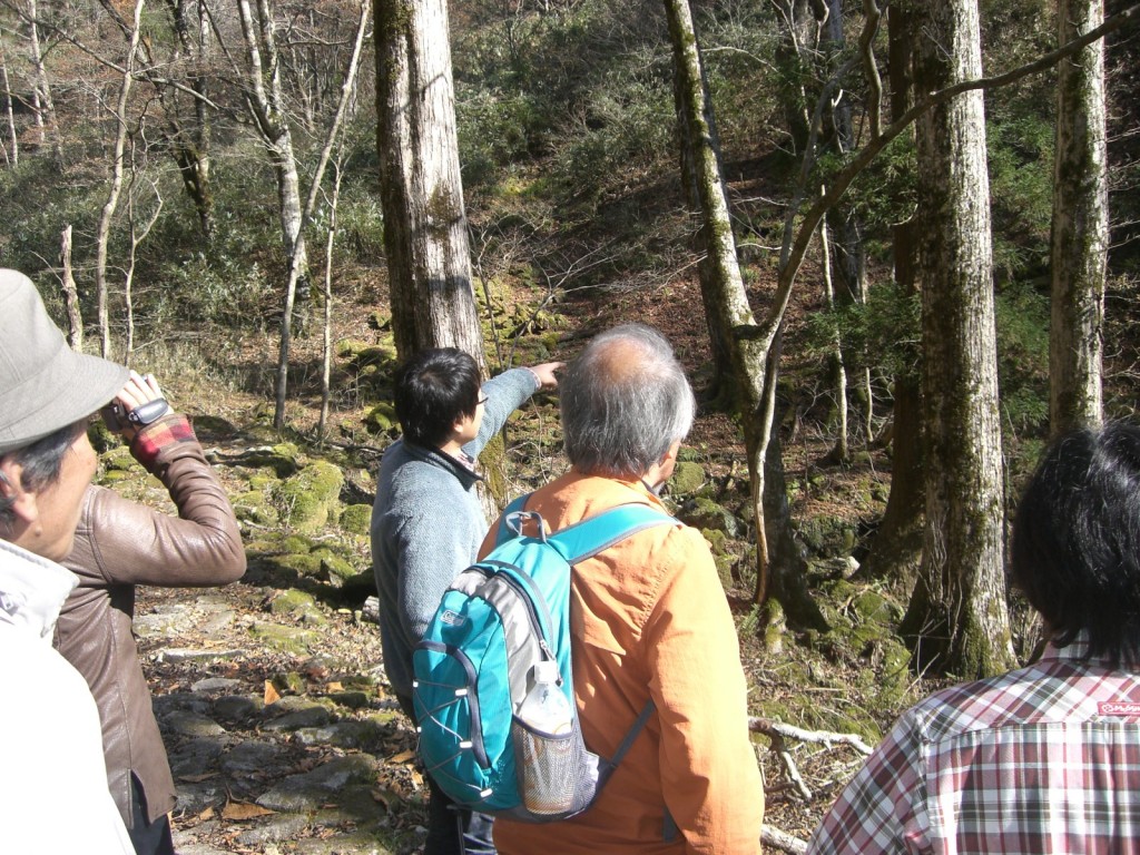 投资者们在冈山县西粟仓村视察林地。