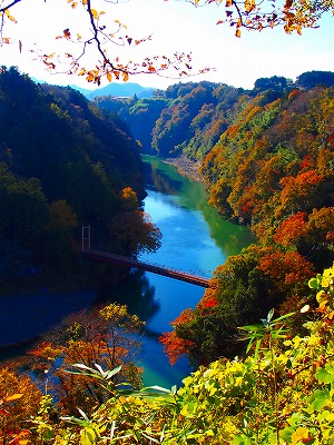 深秋享受东京郊外的红叶 客观日本