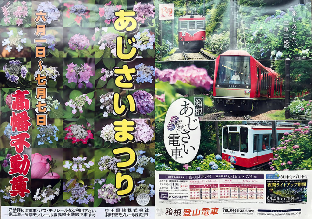 又到紫阳花开 您心仪哪个 绣球 呢 客观日本