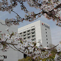 【日本的大学】（五十一）中央大学：法科强校，实地应用的传统