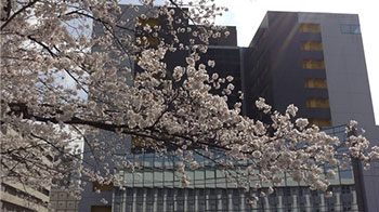 【日本的大学】（五十六）名古屋工业大学：为产业社会打基础支撑繁荣