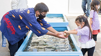 拥抱大自然的年轻人：热爱生物和家乡，日本唯一的高中水族馆社团