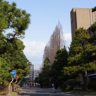 2023年THE日本大学排名出炉，东北大学连续四年蝉联榜首