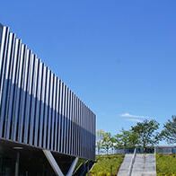 THE更正世界大学排名，东京科学大学升至第166位