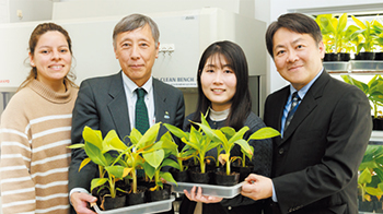 【创新日本走访】（20）诊断感染香蕉的“镰刀菌”， 力求防病害于未然，希望首先在秘鲁普及