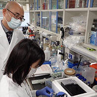 东京医科齿科大学设立基地，用核酸药物实现精准医疗