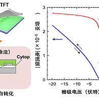 东京大学开发成功聚合物半导体晶体管，实现优异的开关特性