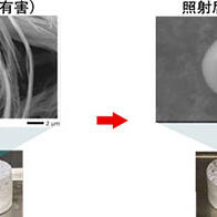 NTT确认照射高功率激光可将石棉无害化，以此抑制粉尘扩散