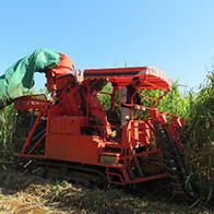 久保田和NEC等启动智慧农业实验，在鹿儿岛县德之岛种植甘蔗，掌握收割作业情况