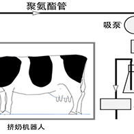 日本农研机构公开新开发的牛甲烷排放量计算公式