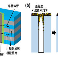 东大与奈良先端大成功开发出三维垂直沟道型铁电和反铁电晶体管存储器