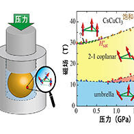 大阪大学等推进复合极限环境下的物性测量，成功验证高压强磁场相图