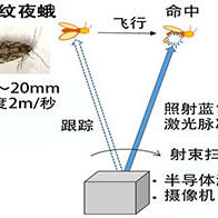 不使用杀虫剂，大阪大学开发成功激光击落害虫的新技术