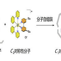 长崎大学、东京大学等发现通过自组装形成的低对称分子集合体